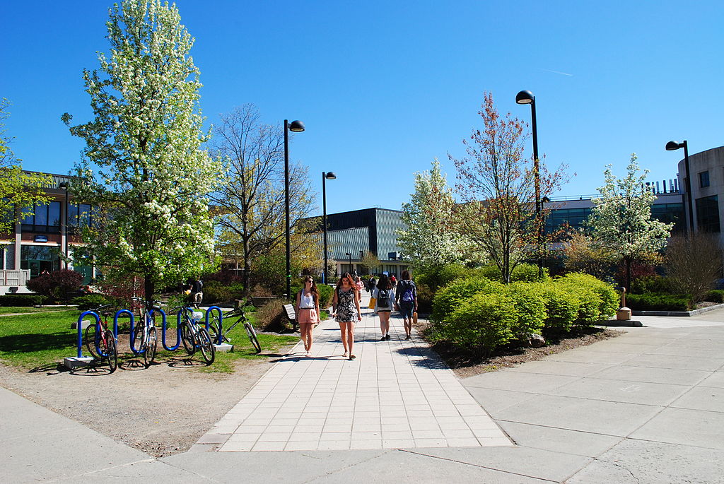 SUNY New Paltz Courtyard Transfer students