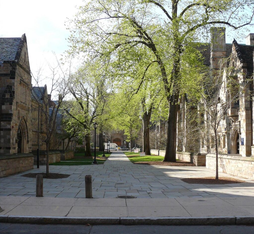 yale campus future earnings